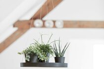 Plantenpotten/bakken  width=