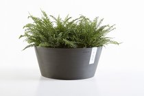 Plantenbakken -en potten  width=