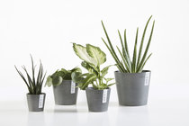 Alle potterie (Ecopots)  width=