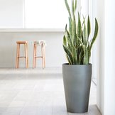 Ecopots Sankara  width=