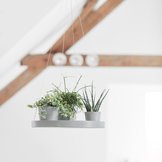 Hanging saucer  width=