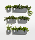 Ecopots Manhattan (-30%)  width=