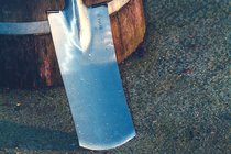 Spades en schoppen  width=