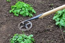 Onkruid verwijderen  width=