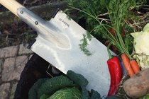 Plant benodigdheden  width=