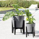 Ecopots Stilts (-30%)  width=