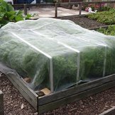 Teelt benodigdheden  width=