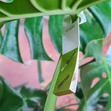 Alle beschermingsmiddelen  width=