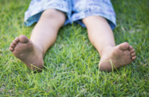 Zadenmix gras & andere  width=