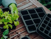 Plant -en moestuin benodigdheden  width=