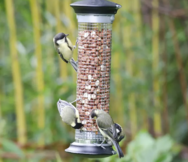 Voedersystemen voor tuinvogels  width=