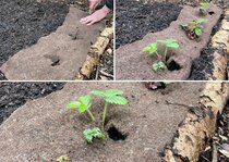 Woldoek - Alternatief anti-worteldoek  width=