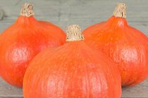 Onze groenten  width=