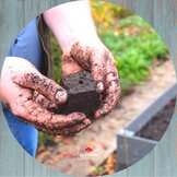 Alle plant -en moestuinbenodigdheden  width=