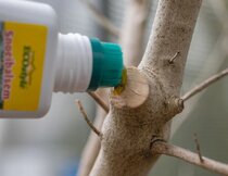 Bescherming planten  width=