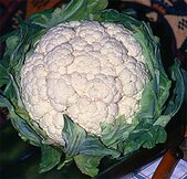 Bloemkool  width=