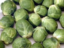 Spruitkool  width=