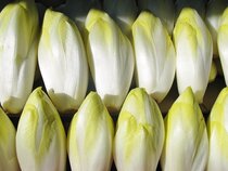 Witloof - Cichorei - Andijvie  width=