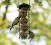 Metal fat ball holder - for garden birds
