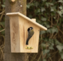 Aldine nesting box 34 mm - for garden birds