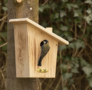 Nichoir Aldine 34 mm - pour oiseaux de jardin