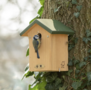 Nesting box Portland 28 mm - for garden birds