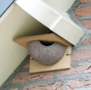 House martin nest (entrance right) - for garden birds