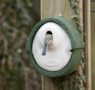 Nichoir Alicante Woodstone ovale vert - pour oiseaux de jardin