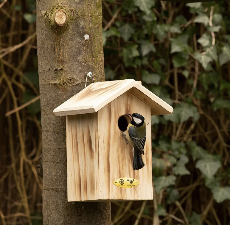Deko-Shop-Hannusch N°2 Nichoir à Oiseaux à Suspendre Avec Lucarnes Et