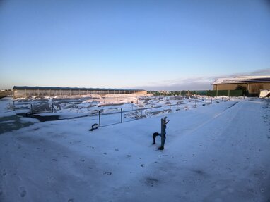 December in the Garden: Preparing for a Green New Year