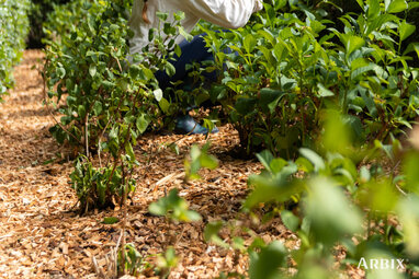 Drought in the Garden: How to Help Your Plants Through Hot and Dry Periods