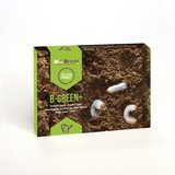 Aaltjes tegen engerlingen - 100 m² - B-green+ _