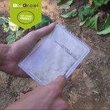 Aaltjes tegen slakken| No-slug_