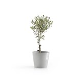 Ecopots Amsterdam 20 cm weiß grau - Pflanzentopf/Blumentopf_