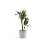 Ecopots Amsterdam 20 cm weiß grau - Pflanzentopf/Blumentopf_