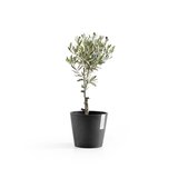 Ecopots Amsterdam 20 cm dunkelgrau - Pflanzen-/Blumentopf_