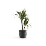 Ecopots Amsterdam 20 cm dunkelgrau - Pflanzen-/Blumentopf_