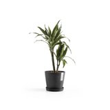 Ecopots Amsterdam 20 cm dunkelgrau - Pflanzen-/Blumentopf_
