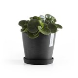 Ecopots Amsterdam 20 cm dunkelgrau - Pflanzen-/Blumentopf_