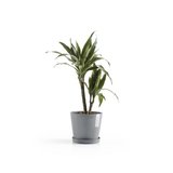 Ecopots Amsterdam 20 cm bleu gris - plantes/pot de fleurs_