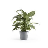 Ecopots Amsterdam 20 cm bleu gris - plantes/pot de fleurs_