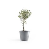 Ecopots Amsterdam 20 cm bleu gris - plantes/pot de fleurs_
