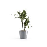 Ecopots Amsterdam 20 cm bleu gris - plantes/pot de fleurs_