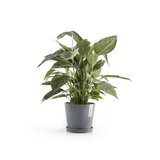Ecopots Amsterdam 20 cm bleu gris - plantes/pot de fleurs_
