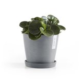 Ecopots Amsterdam 20 cm bleu gris - plantes/pot de fleurs_