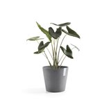 Ecopots Amsterdam 30 cm grijs - planten/bloembak-pot_