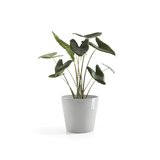 Ecopots Amsterdam 40 cm weiß grau - Pflanzentopf/Blumentopf_