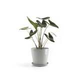 Ecopots Amsterdam 40 cm weiß grau - Pflanzentopf/Blumentopf_