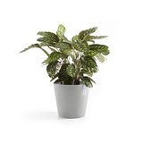Ecopots Amsterdam 40 cm weiß grau - Pflanzentopf/Blumentopf_