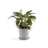 Ecopots Amsterdam 40 cm weiß grau - Pflanzentopf/Blumentopf_
